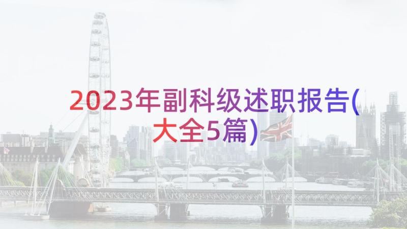 2023年副科级述职报告(大全5篇)