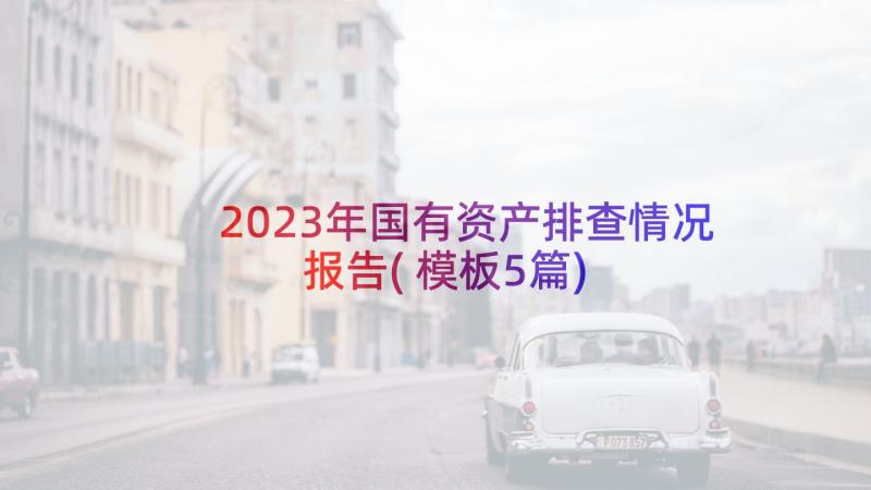 2023年国有资产排查情况报告(模板5篇)