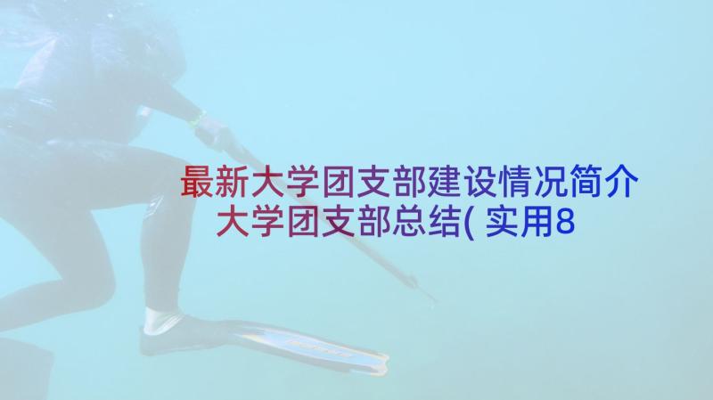 最新大学团支部建设情况简介 大学团支部总结(实用8篇)