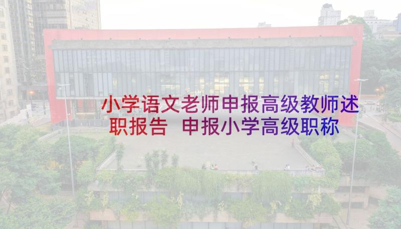 小学语文老师申报高级教师述职报告 申报小学高级职称述职报告(大全8篇)