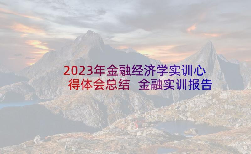 2023年金融经济学实训心得体会总结 金融实训报告心得体会(大全5篇)