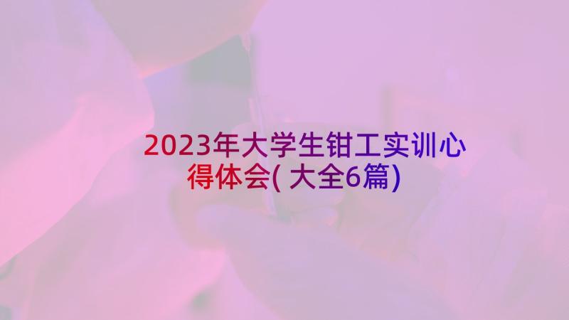 2023年大学生钳工实训心得体会(大全6篇)