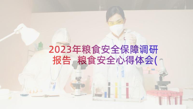 2023年粮食安全保障调研报告 粮食安全心得体会(模板8篇)