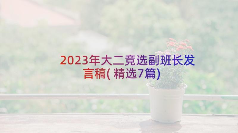 2023年大二竞选副班长发言稿(精选7篇)