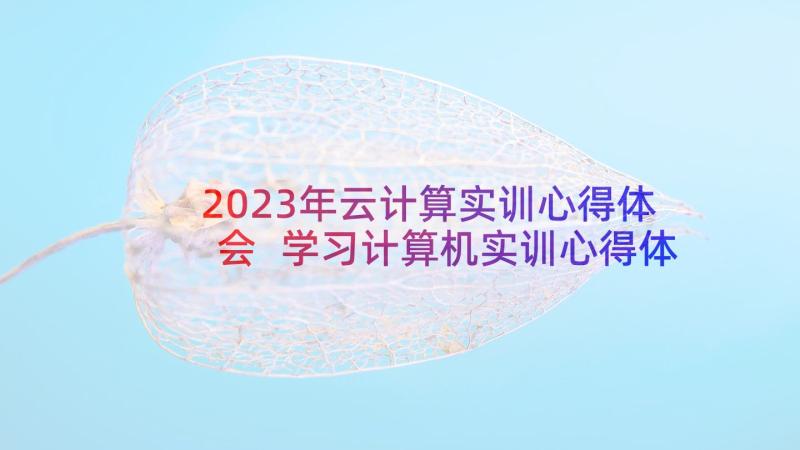 2023年云计算实训心得体会 学习计算机实训心得体会(实用7篇)