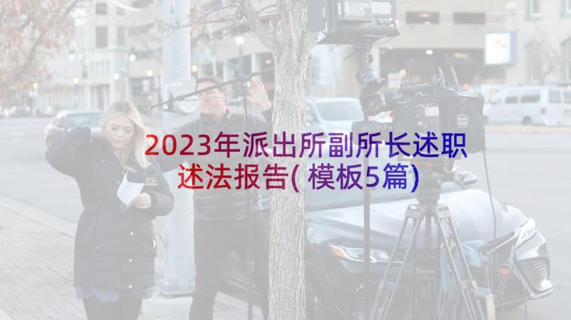 2023年派出所副所长述职述法报告(模板5篇)