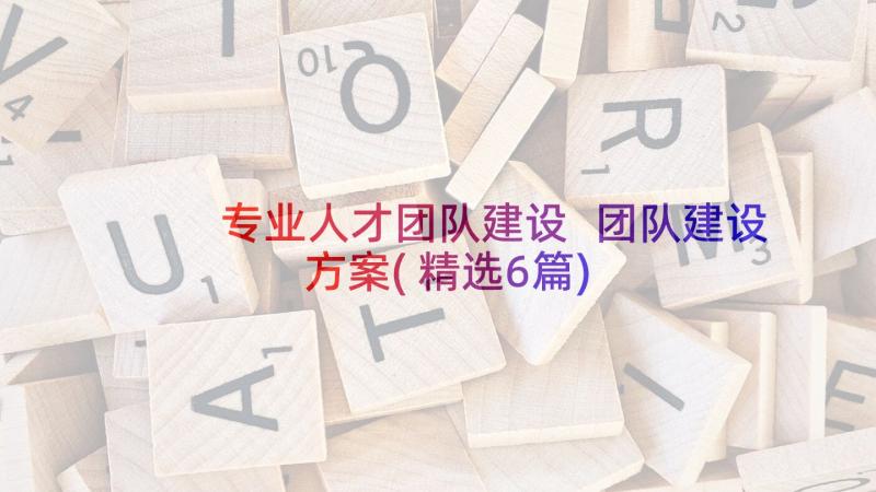 专业人才团队建设 团队建设方案(精选6篇)