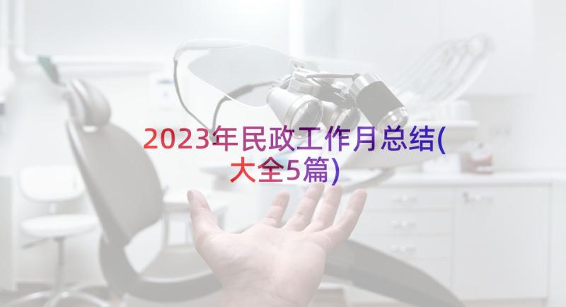 2023年民政工作月总结(大全5篇)