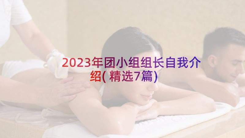 2023年团小组组长自我介绍(精选7篇)