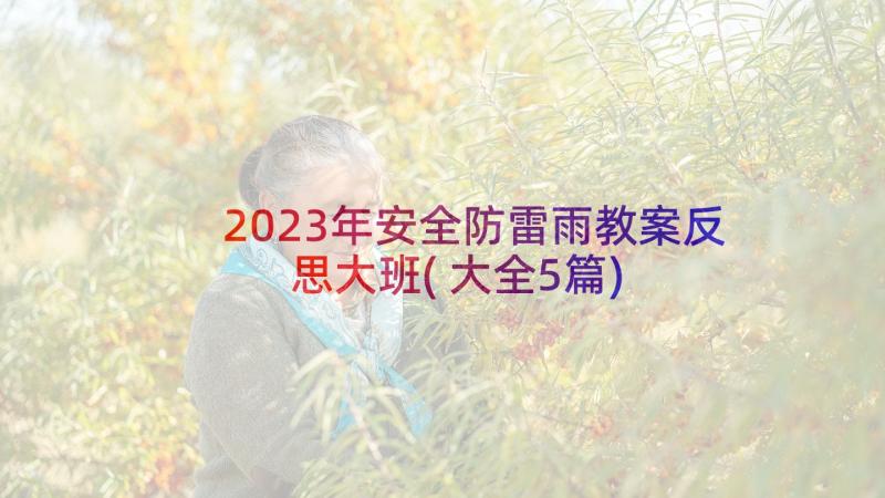 2023年安全防雷雨教案反思大班(大全5篇)