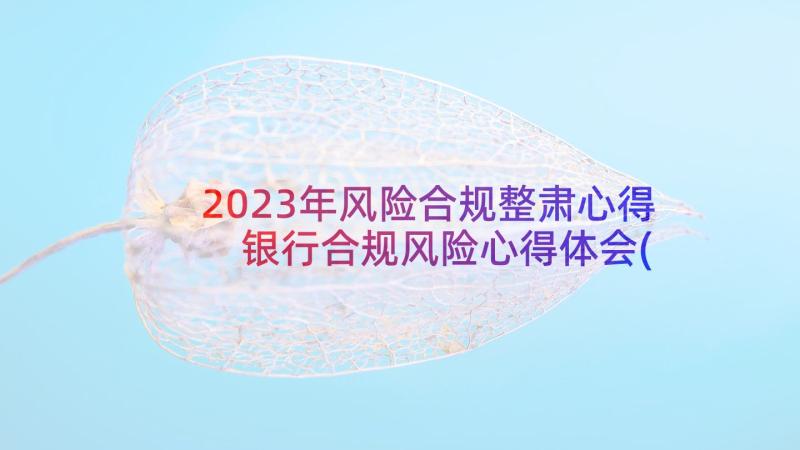 2023年风险合规整肃心得 银行合规风险心得体会(通用5篇)