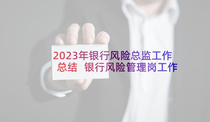 2023年银行风险总监工作总结 银行风险管理岗工作总结(模板5篇)