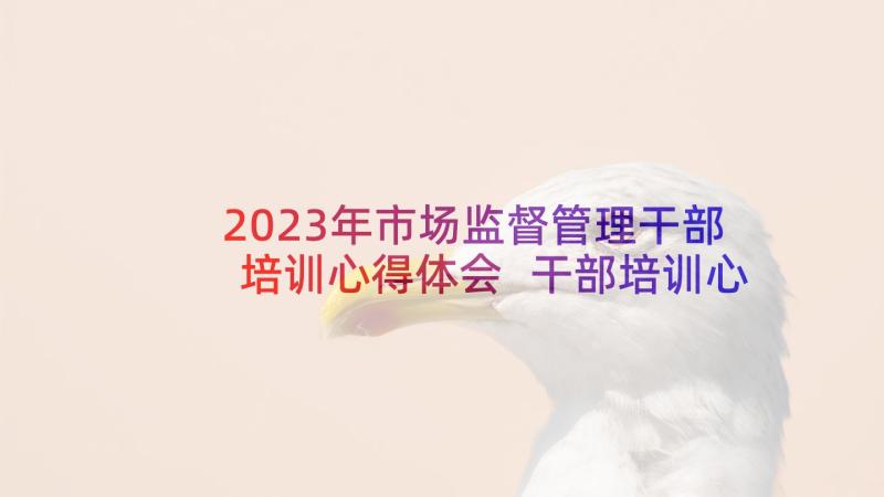 2023年市场监督管理干部培训心得体会 干部培训心得体会(模板6篇)