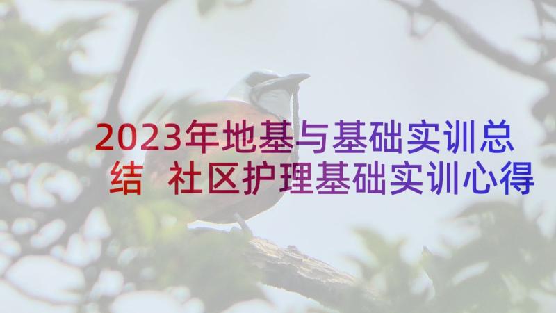 2023年地基与基础实训总结 社区护理基础实训心得体会(精选5篇)