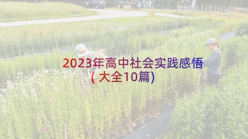 2023年高中社会实践感悟(大全10篇)