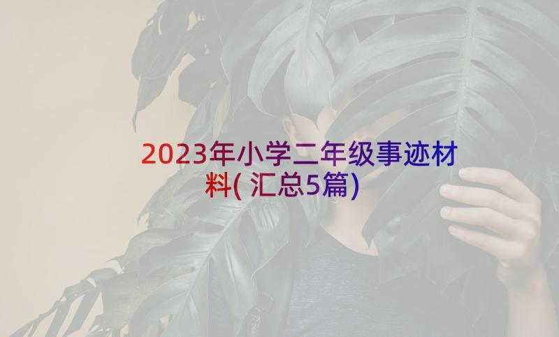 2023年小学二年级事迹材料(汇总5篇)