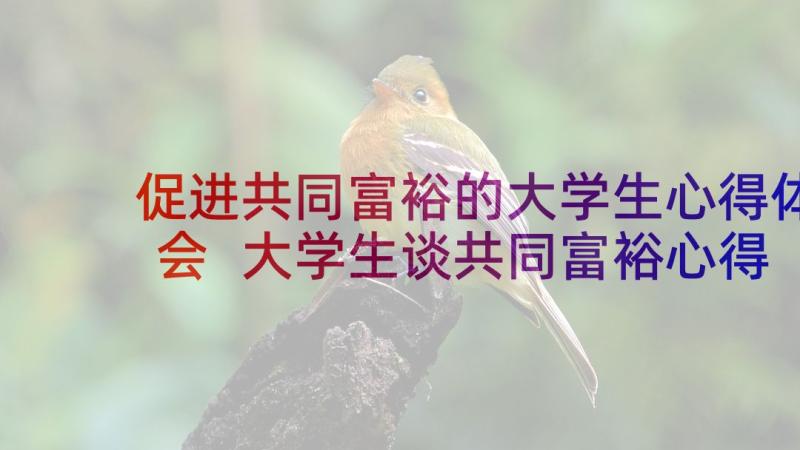 促进共同富裕的大学生心得体会 大学生谈共同富裕心得体会(大全5篇)