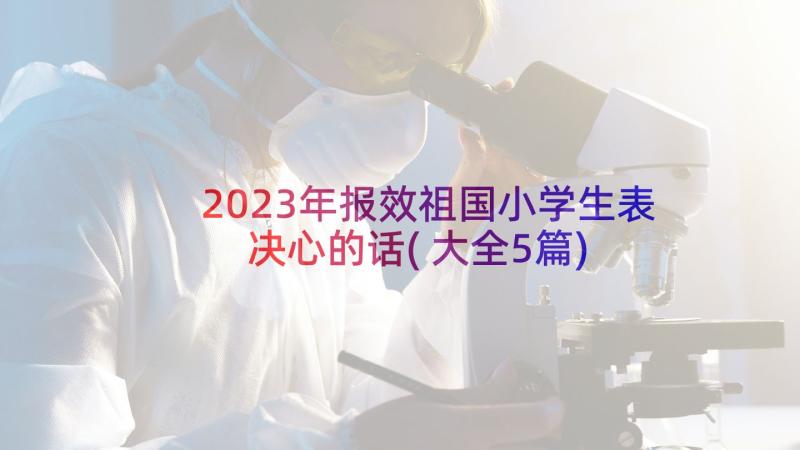 2023年报效祖国小学生表决心的话(大全5篇)