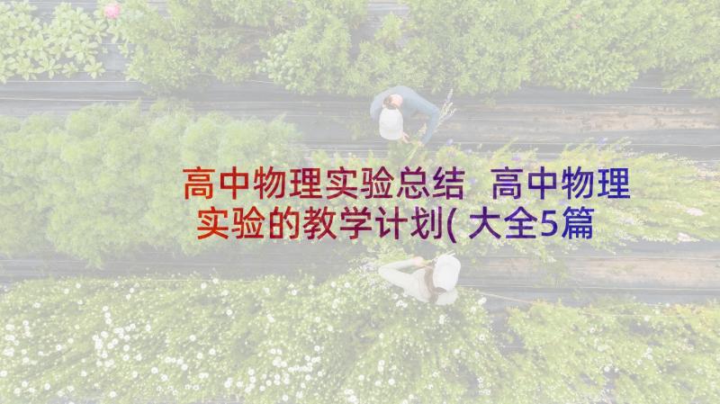 高中物理实验总结 高中物理实验的教学计划(大全5篇)