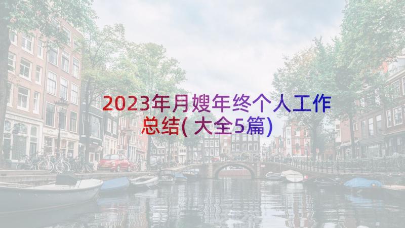 2023年月嫂年终个人工作总结(大全5篇)