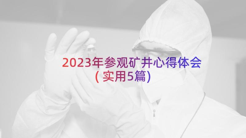 2023年参观矿井心得体会(实用5篇)