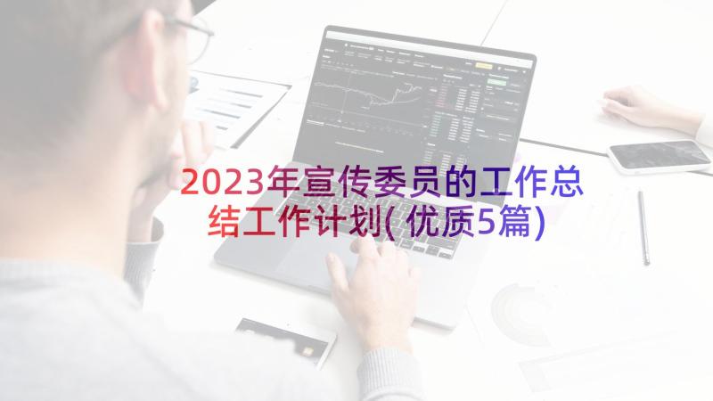 2023年宣传委员的工作总结工作计划(优质5篇)