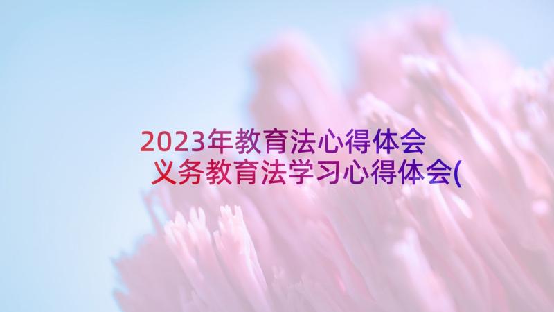 2023年教育法心得体会 义务教育法学习心得体会(通用9篇)