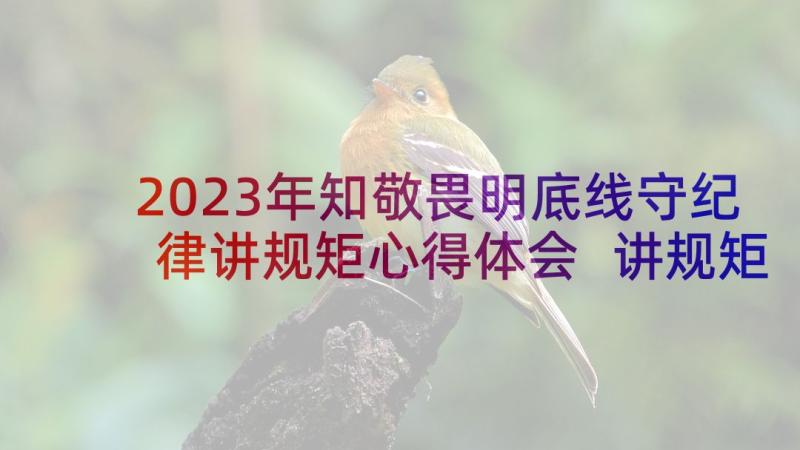 2023年知敬畏明底线守纪律讲规矩心得体会 讲规矩守纪律做知敬畏守底线的党员演讲稿(大全5篇)