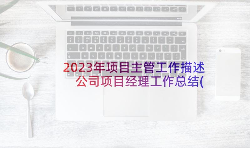 2023年项目主管工作描述 公司项目经理工作总结(模板8篇)