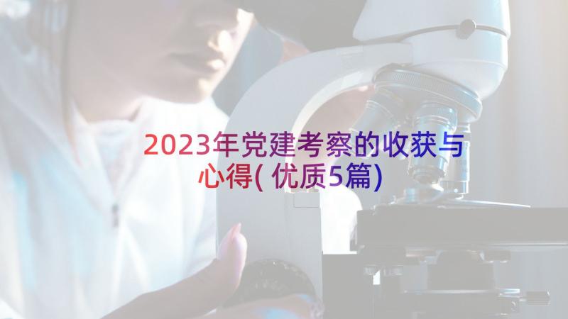 2023年党建考察的收获与心得(优质5篇)