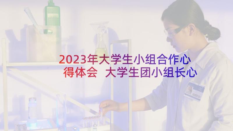 2023年大学生小组合作心得体会 大学生团小组长心得体会(实用5篇)