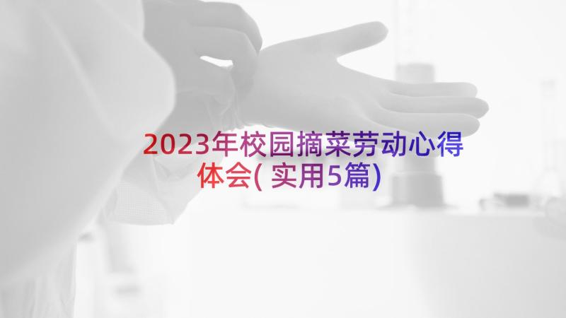 2023年校园摘菜劳动心得体会(实用5篇)