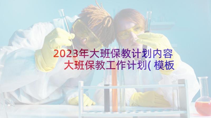 2023年大班保教计划内容 大班保教工作计划(模板6篇)