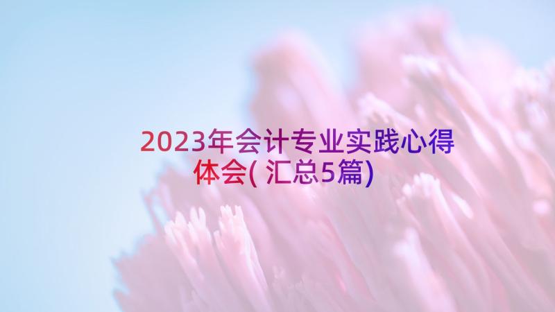 2023年会计专业实践心得体会(汇总5篇)