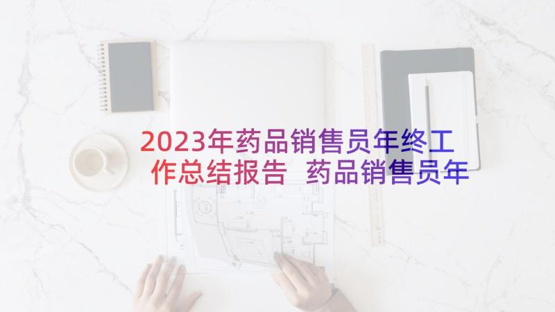 2023年药品销售员年终工作总结报告 药品销售员年终总结(精选5篇)