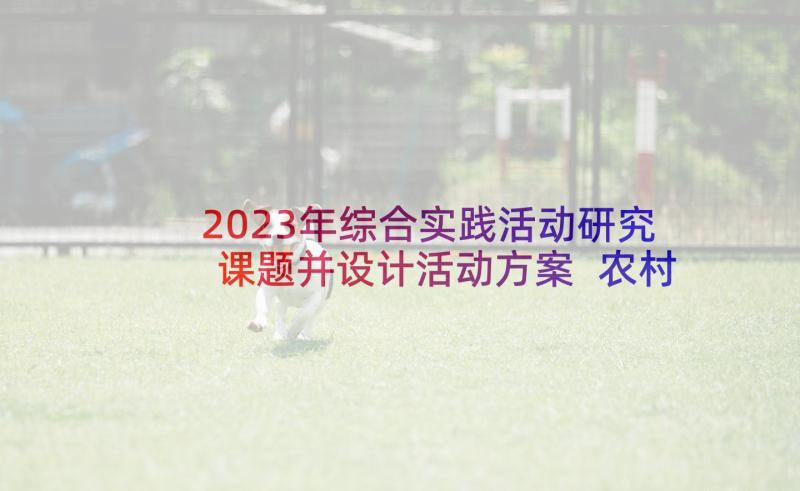 2023年综合实践活动研究课题并设计活动方案 农村小学语文综合实践活动研究论文(实用5篇)