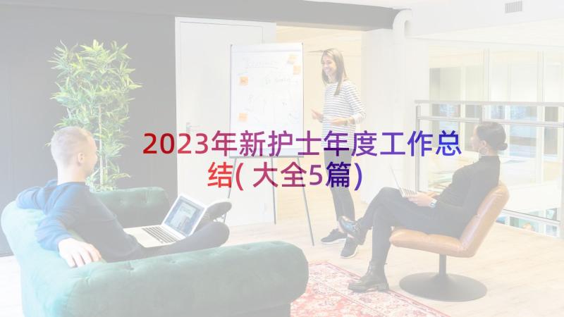 2023年新护士年度工作总结(大全5篇)