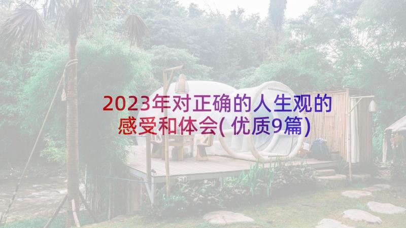 2023年对正确的人生观的感受和体会(优质9篇)