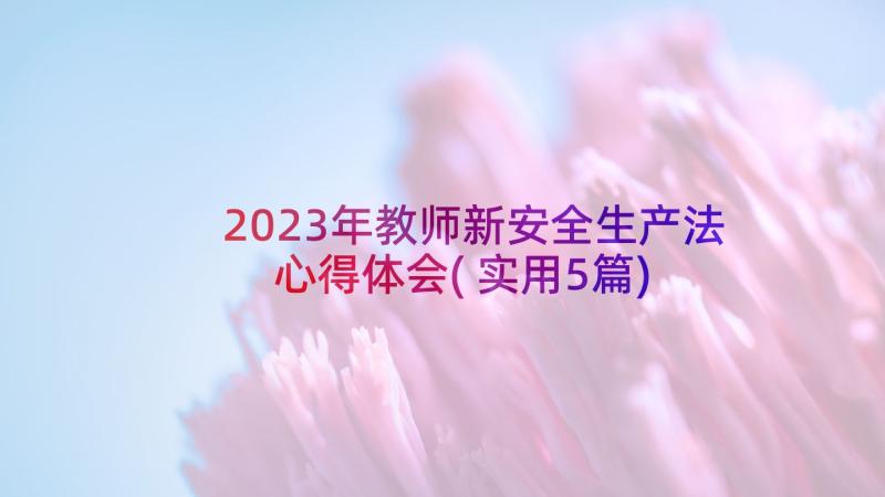 2023年教师新安全生产法心得体会(实用5篇)