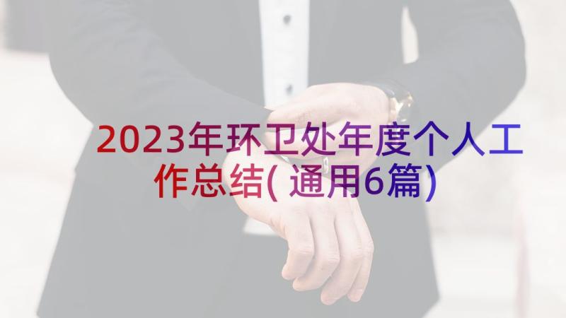 2023年环卫处年度个人工作总结(通用6篇)