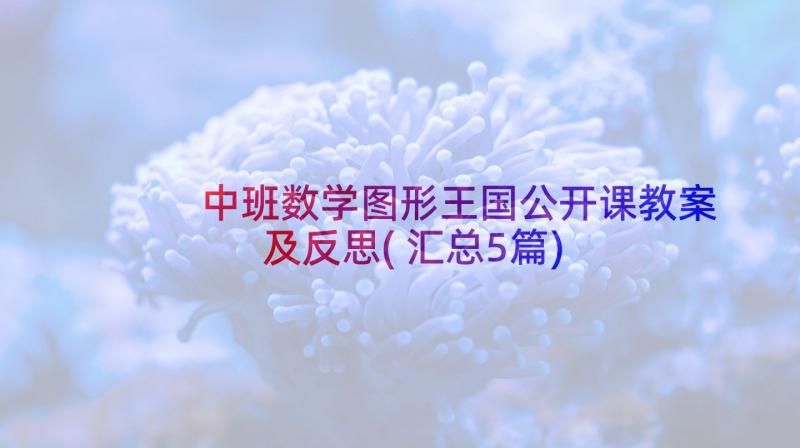 中班数学图形王国公开课教案及反思(汇总5篇)