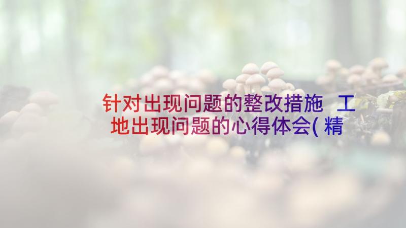 针对出现问题的整改措施 工地出现问题的心得体会(精选8篇)