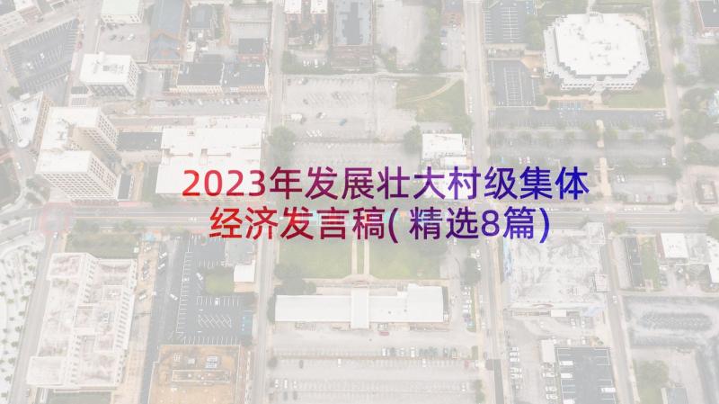 2023年发展壮大村级集体经济发言稿(精选8篇)