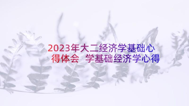 2023年大二经济学基础心得体会 学基础经济学心得体会(模板5篇)