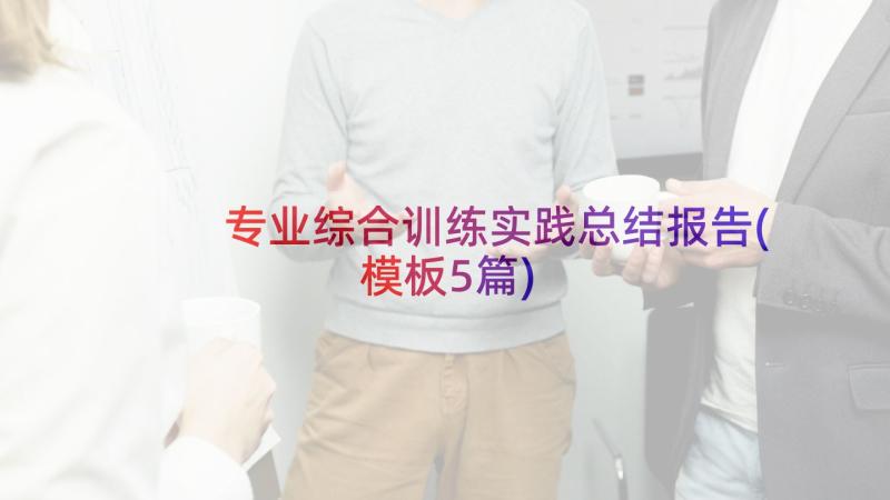 专业综合训练实践总结报告(模板5篇)