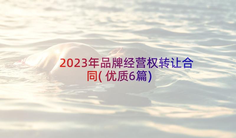 2023年品牌经营权转让合同(优质6篇)