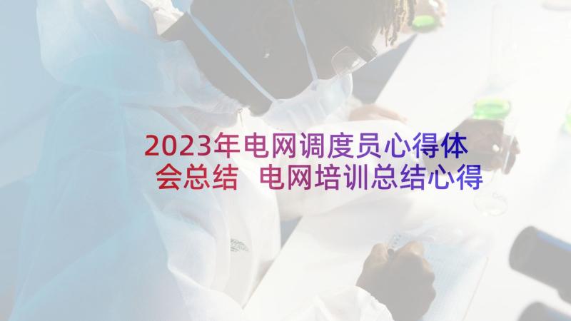 2023年电网调度员心得体会总结 电网培训总结心得体会(模板5篇)