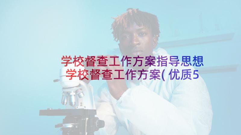 学校督查工作方案指导思想 学校督查工作方案(优质5篇)