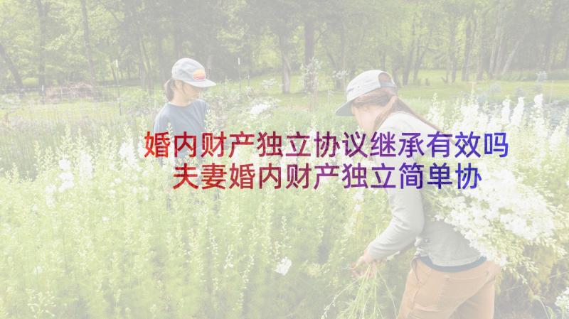 婚内财产独立协议继承有效吗 夫妻婚内财产独立简单协议书(大全5篇)