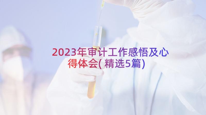 2023年审计工作感悟及心得体会(精选5篇)